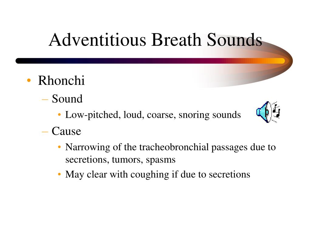 adventitious breath sounds rales