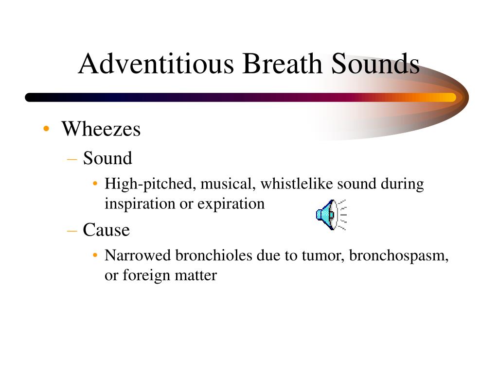 adventitious breath sounds adventitious breath sounds
