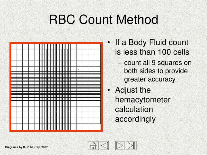 PPT - Hemacytometer and Manual Cell Counts PowerPoint Presentation - ID