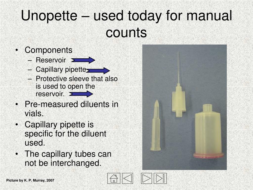 PPT - Hemacytometer and Manual Cell Counts PowerPoint Presentation