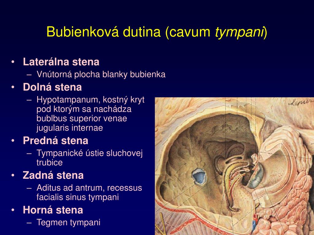 Bubienková dutina (cavum tympani) .