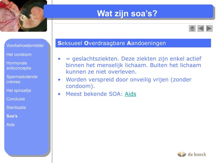 PPT - Voortplanting bij de mens PowerPoint Presentation - ID:4940756