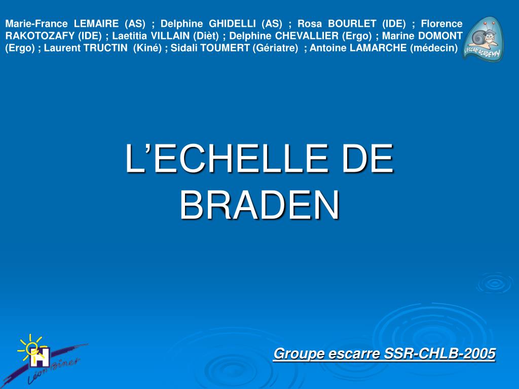 PPT - L'ECHELLE DE BRADEN PowerPoint Presentation, free download -  ID:4941098