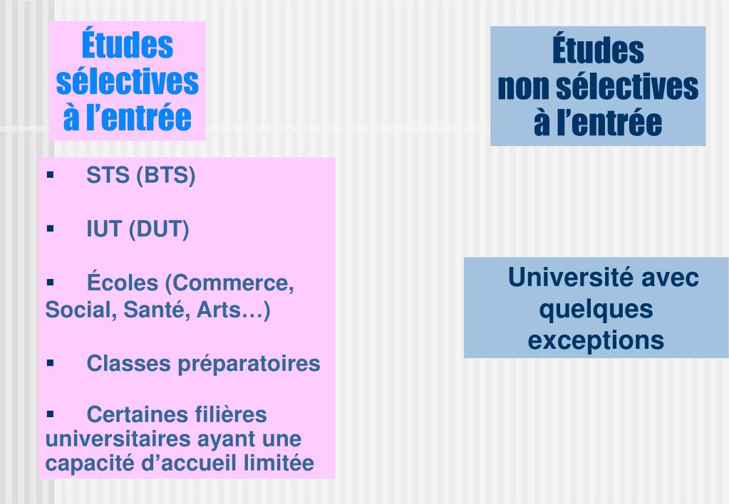 Lettre De Motivation Entree Iut - Surge f
