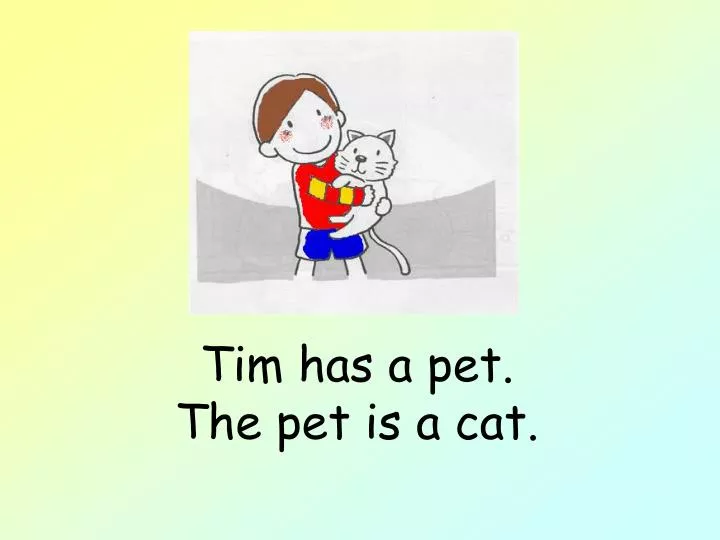 tim has a pet the pet is a cat n.