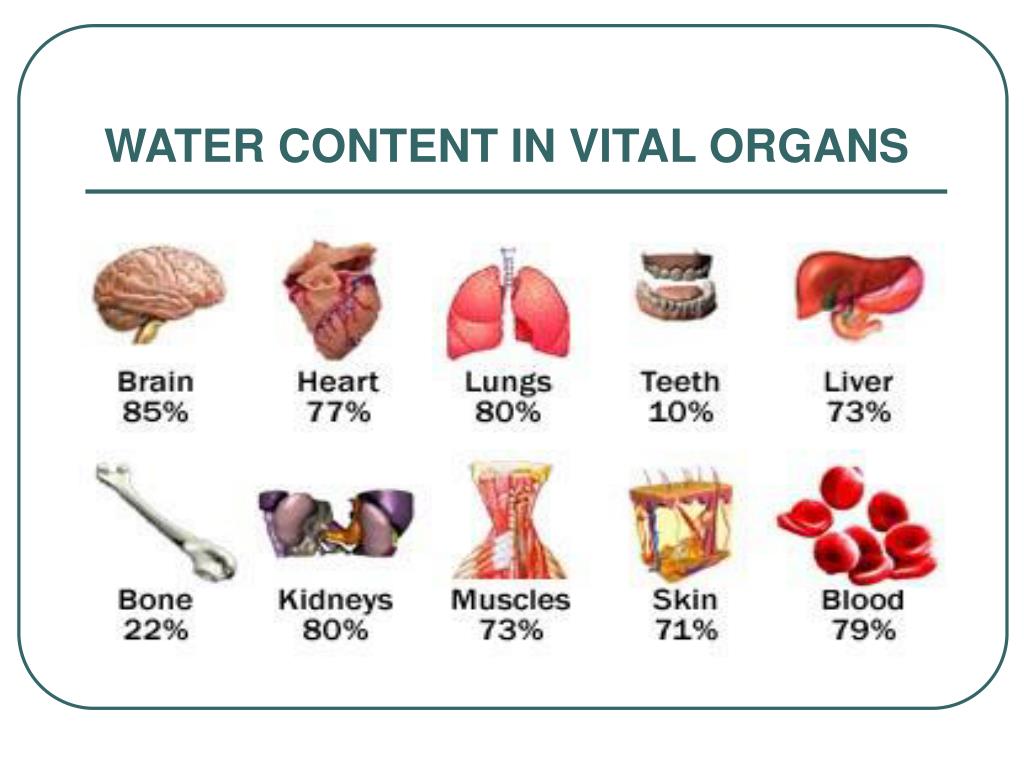 PPT WATER THE MOTHER OF LIFE PowerPoint Presentation, free download