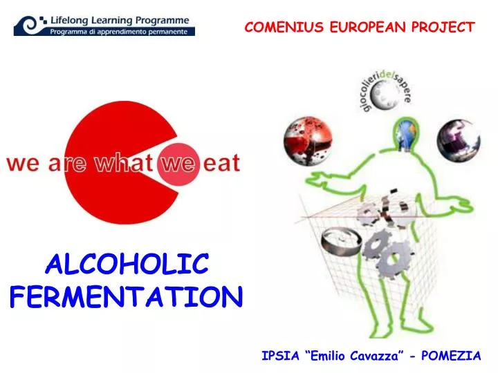 ppt alcoholic fermentation powerpoint presentation id 4945643 alcoholic fermentation
