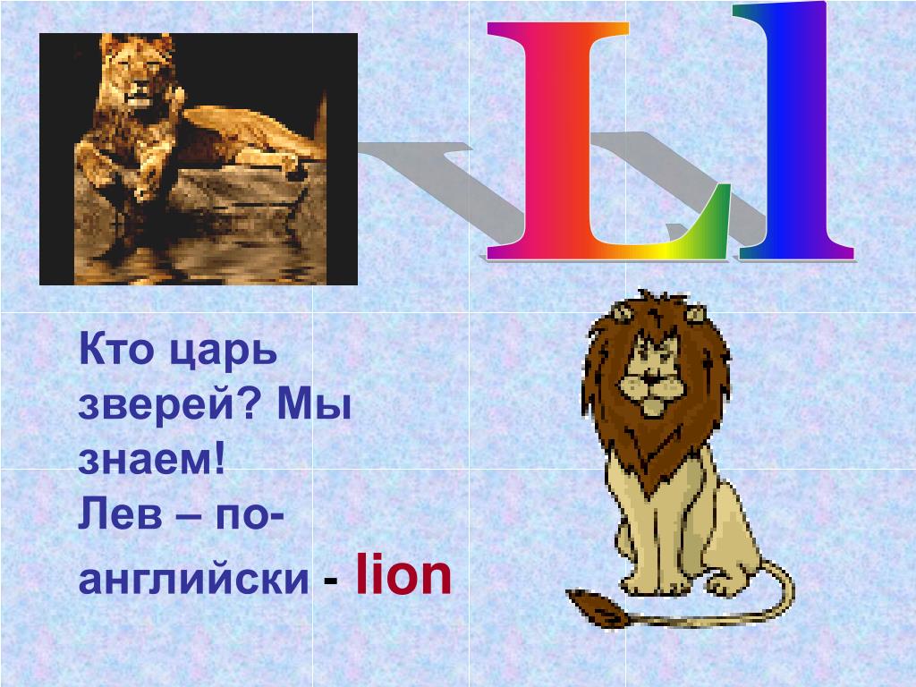 Как переводится лев. Лев по английскому. Лев на англ. Лев по онг. Лев по английскому с транскрипцией.