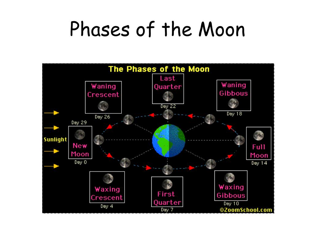PPT - Moon Phases PowerPoint Presentation, free download - ID:4947845