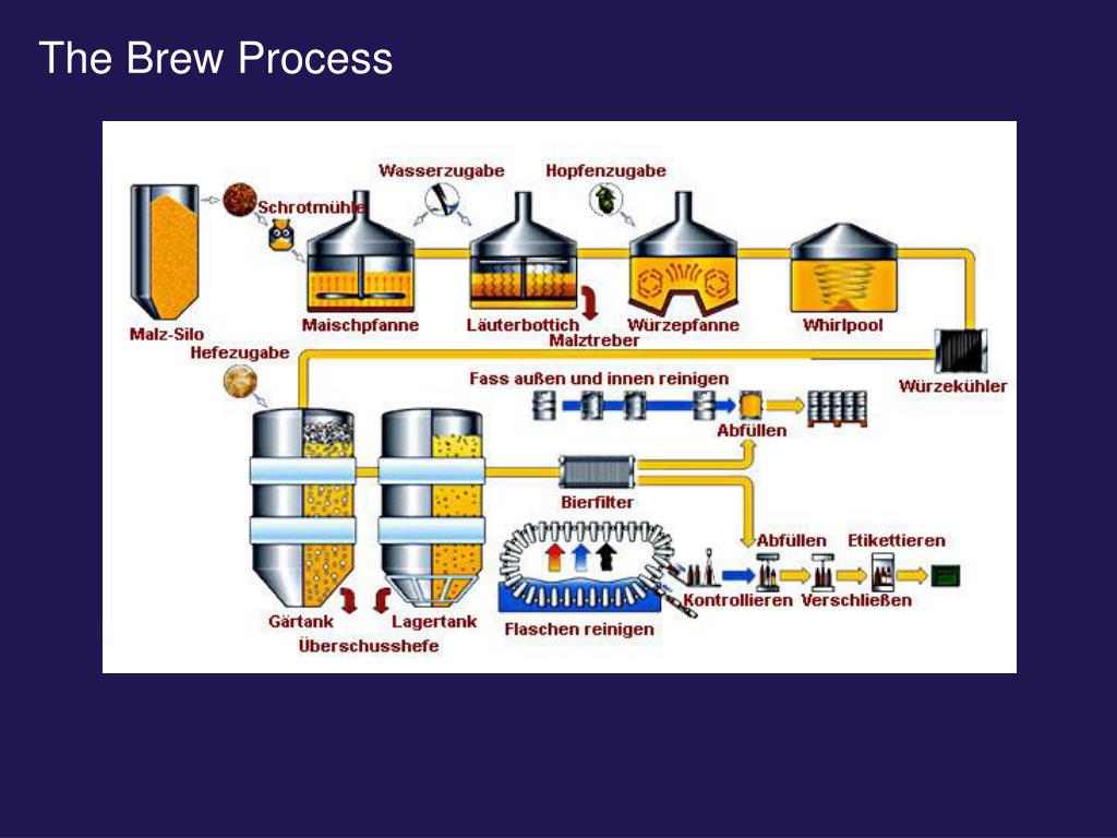 PPT - Der Brauprozess für verschiedene Biersorten PowerPoint ...