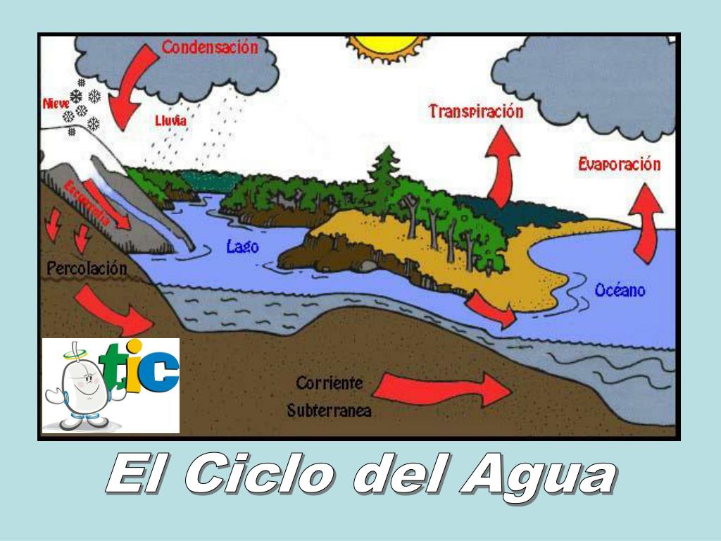 PPT - El Ciclo del Agua PowerPoint Presentation, free download - ID:4951245