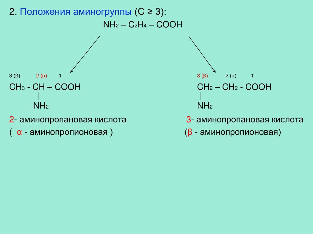 3 аминопропионовая кислота