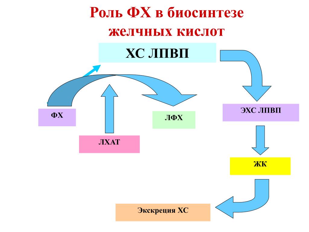 Схема лхат реакции