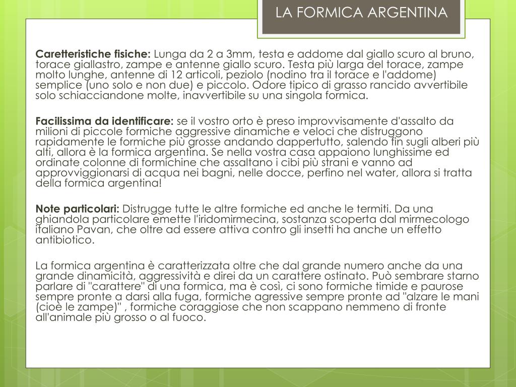 la formica argentina italo calvino la formica argentina italo calvino