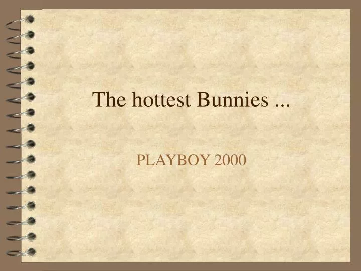 the hottest bunnies n.