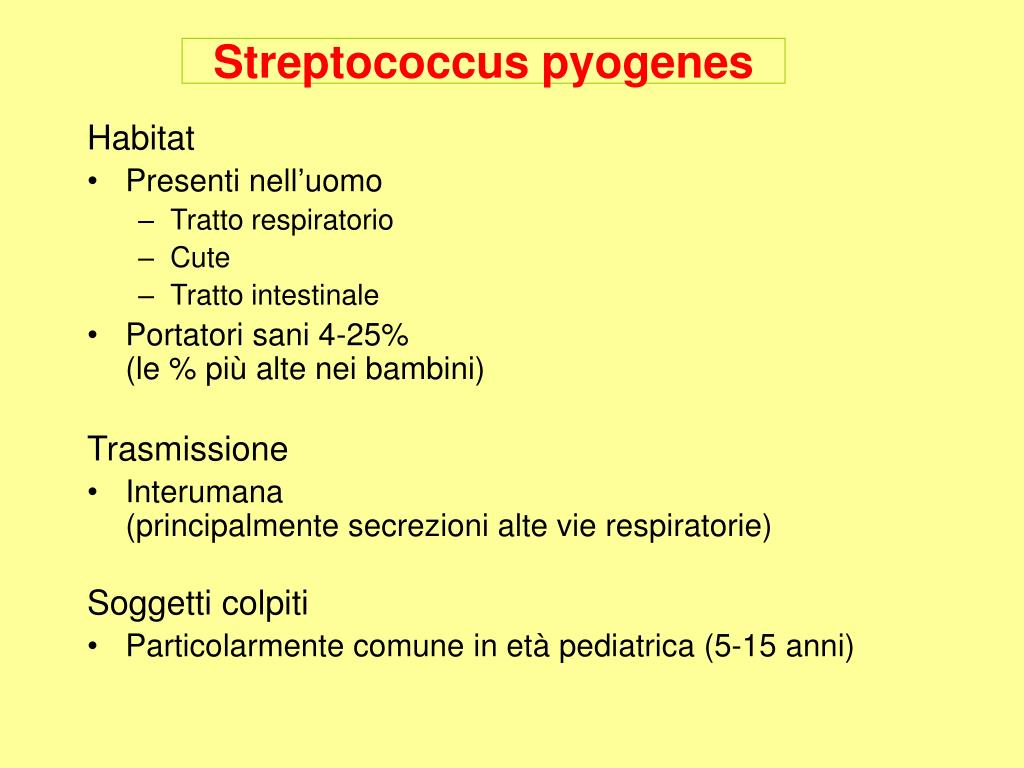 PPT - COCCHI GRAM-POSITIVI Staphylococcus spp. Streptococcus spp.  Enterococcus spp. PowerPoint Presentation - ID:4952925