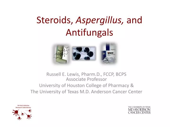 PPT Steroids, Aspergillus, and Antifungals PowerPoint Presentation