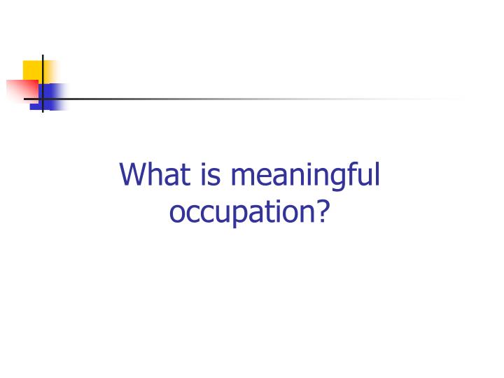 what is occupation meaning