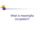 occupation what is the meaning
