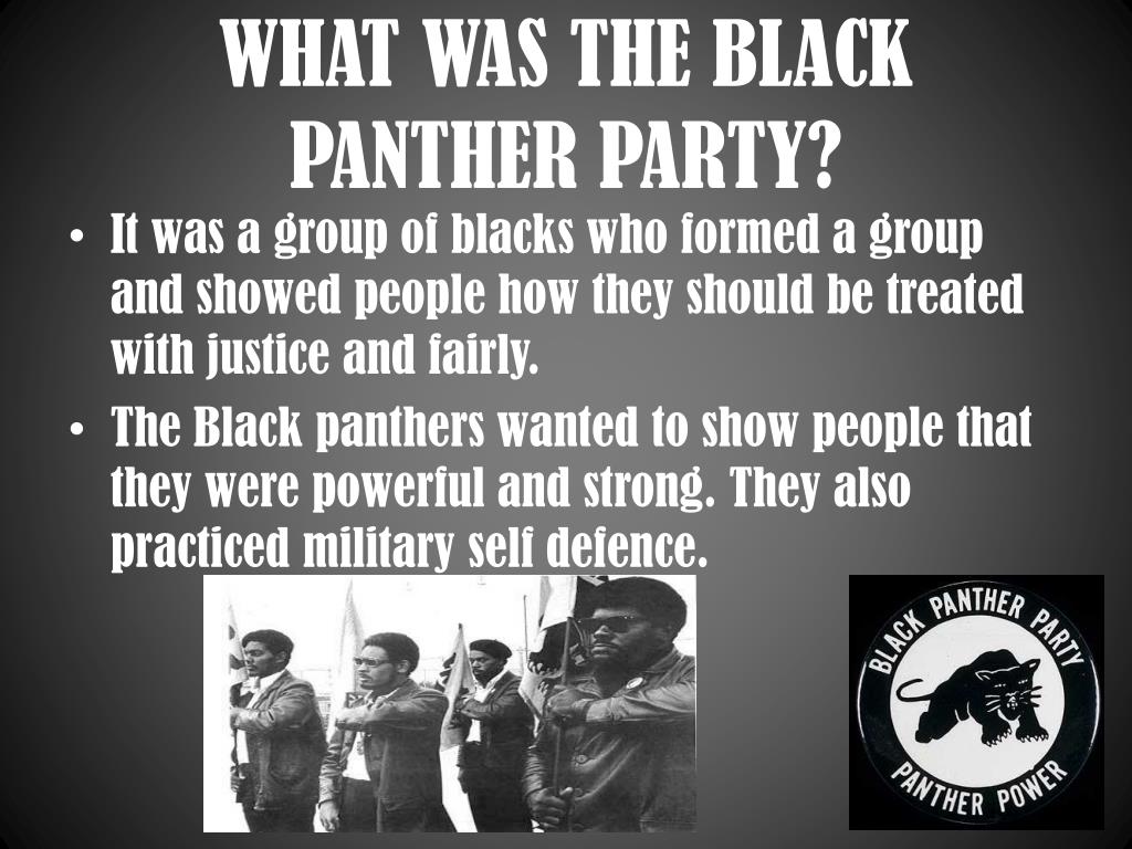 essay about the black panther party