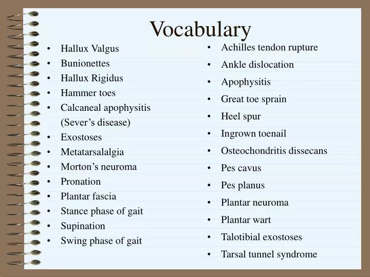 presentation vocabulary