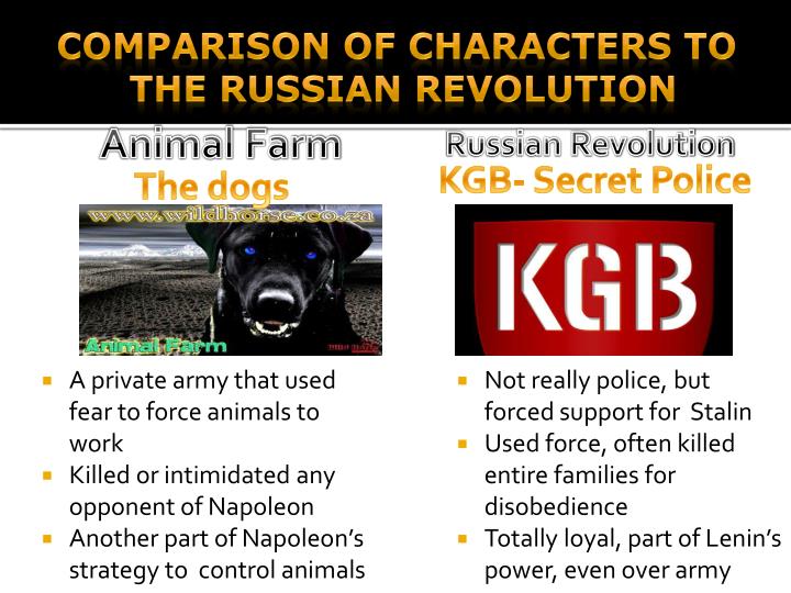 comparison of animal farm to stalinistic Topic: research the life of karl marx what were the fundamentals of his communist manifesto and how do they compare to the ideas expressed by old major in animal farm. comparison of animal farm to stalinistic Topic: research the life of karl marx what were the fundamentals of his communist manifesto and how do they compare to the ideas expressed by old major in animal farm.