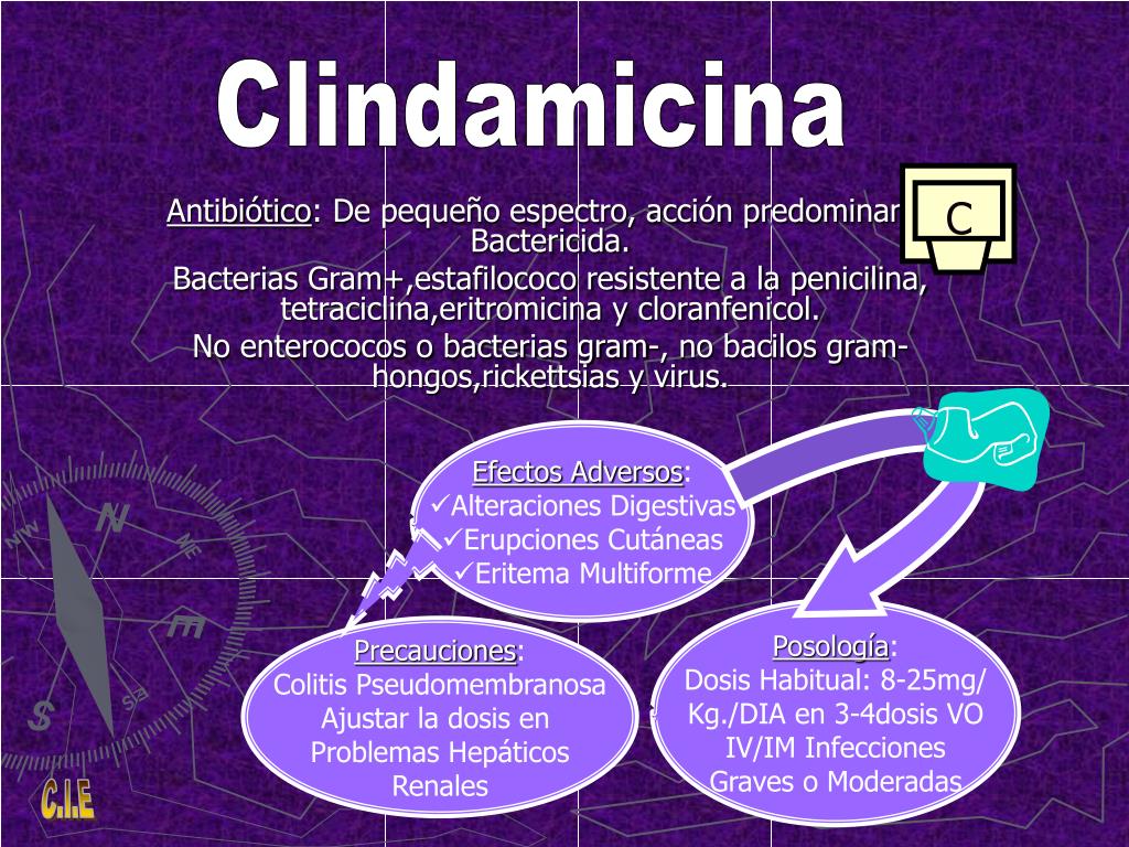 Prednisone canadian pharmacy