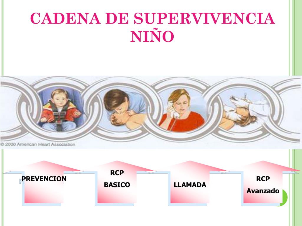 PPT - RCP PEDIATRICO PowerPoint Presentation, free download - ID:4973550