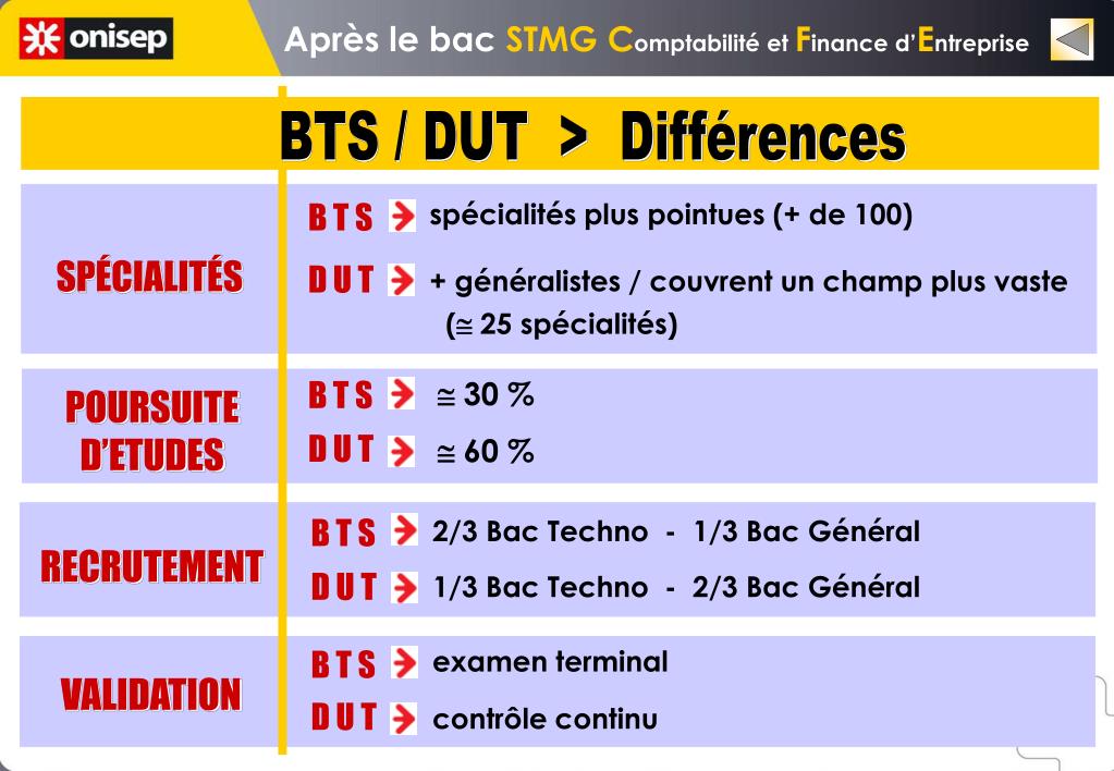 Ppt Apres Le Bac Stmg Powerpoint Presentation Free Download Id 4974121