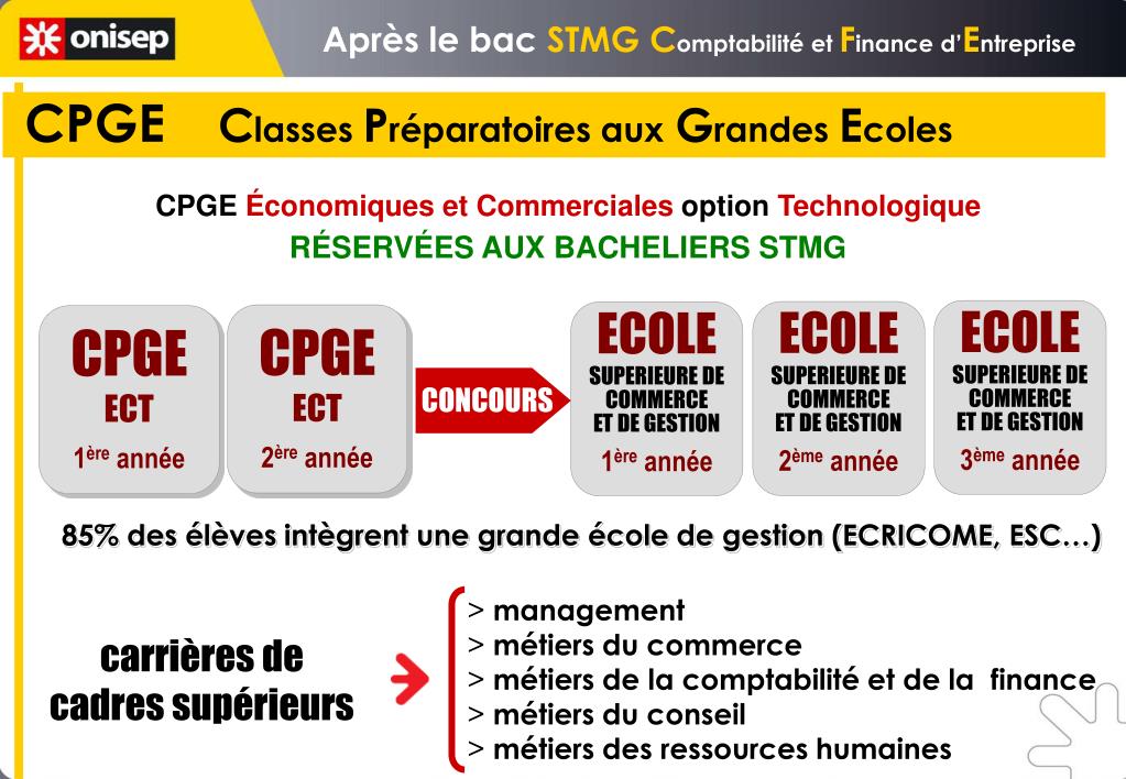 Ppt Apres Le Bac Stmg Powerpoint Presentation Free Download Id 4974121