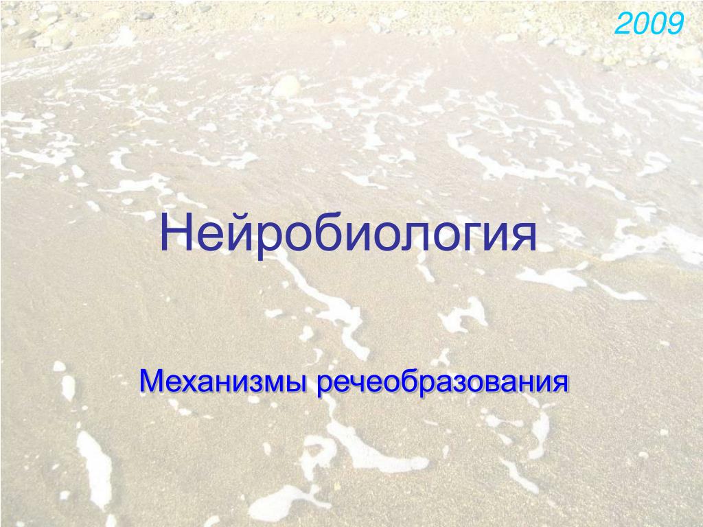 Нейробиология это. Нейробиология. Методы нейробиологии. Механизм речеобразования. Нейробиология презентация.