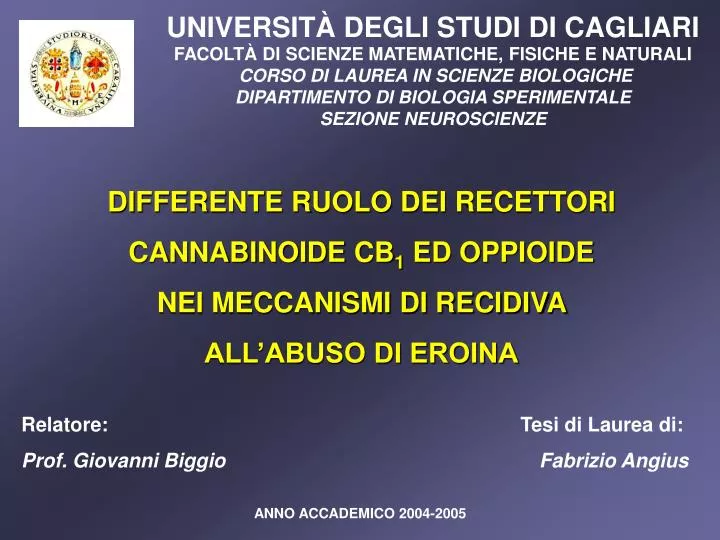 Ppt Universita Degli Studi Di Cagliari Facolta Di Scienze