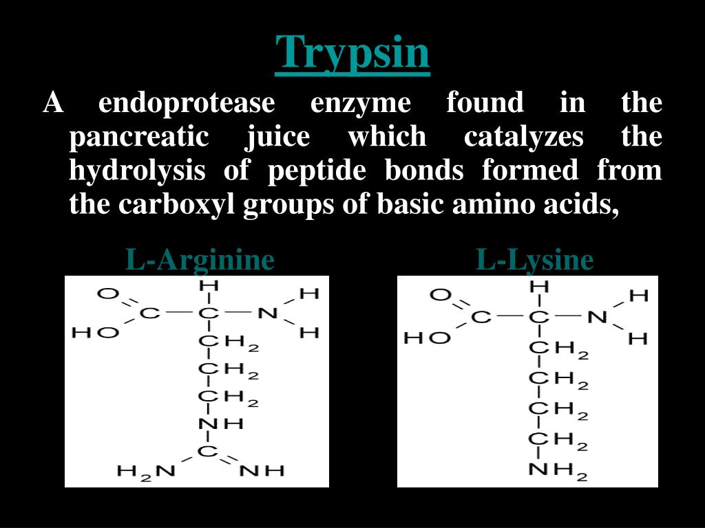 enzyme trypsin milk experiment