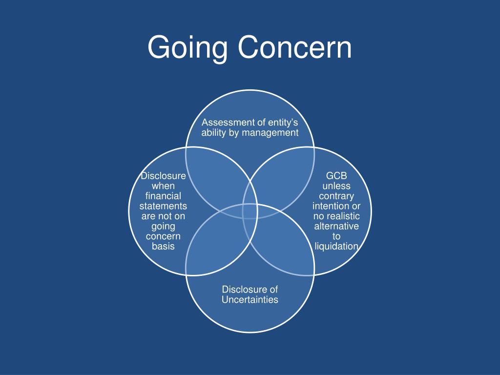 Going Concern pcaob-vs-isa-offers-shop-brunofuga-adv-br