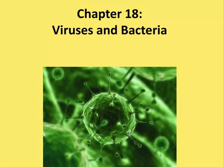 chapter 18 viruses and bacteria n.