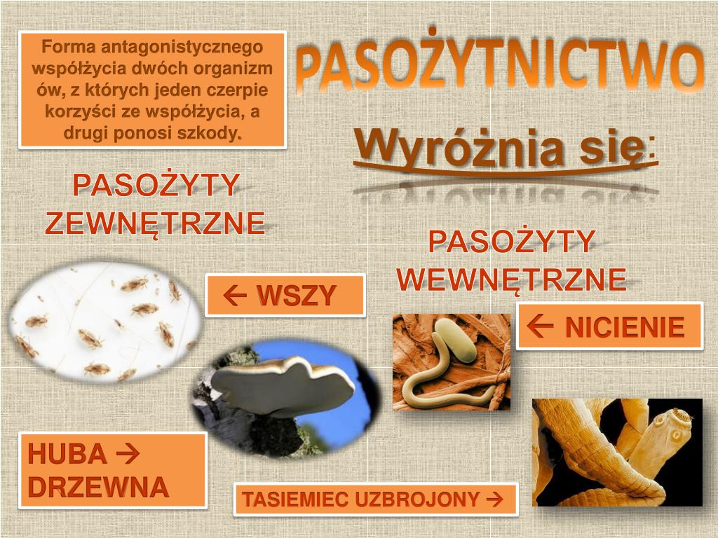 Przystosowania Do Pasożytnictwa PPT - ODDZIAŁYWANIA PowerPoint Presentation, free download - ID:4983229