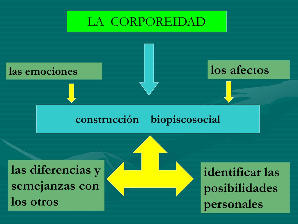 PPT - LA CORPOREIDAD COMO EXPRESION DE LO HUMANO PowerPoint Presentation -  ID:4984289