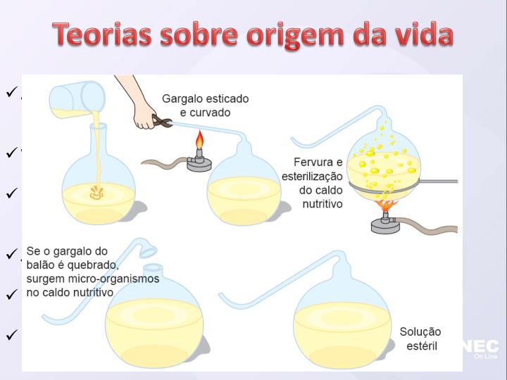 A Origem Da Vida E Explicada Por Diferentes Teorias