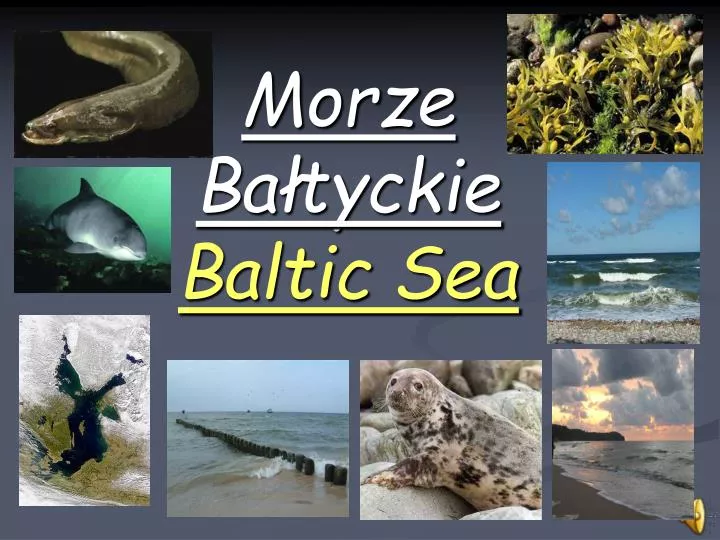 Morze Bałtyckie Sprawdzian 3 Kl Gimnazjum PPT - Morze Bałtyckie Baltic Sea PowerPoint Presentation, free download