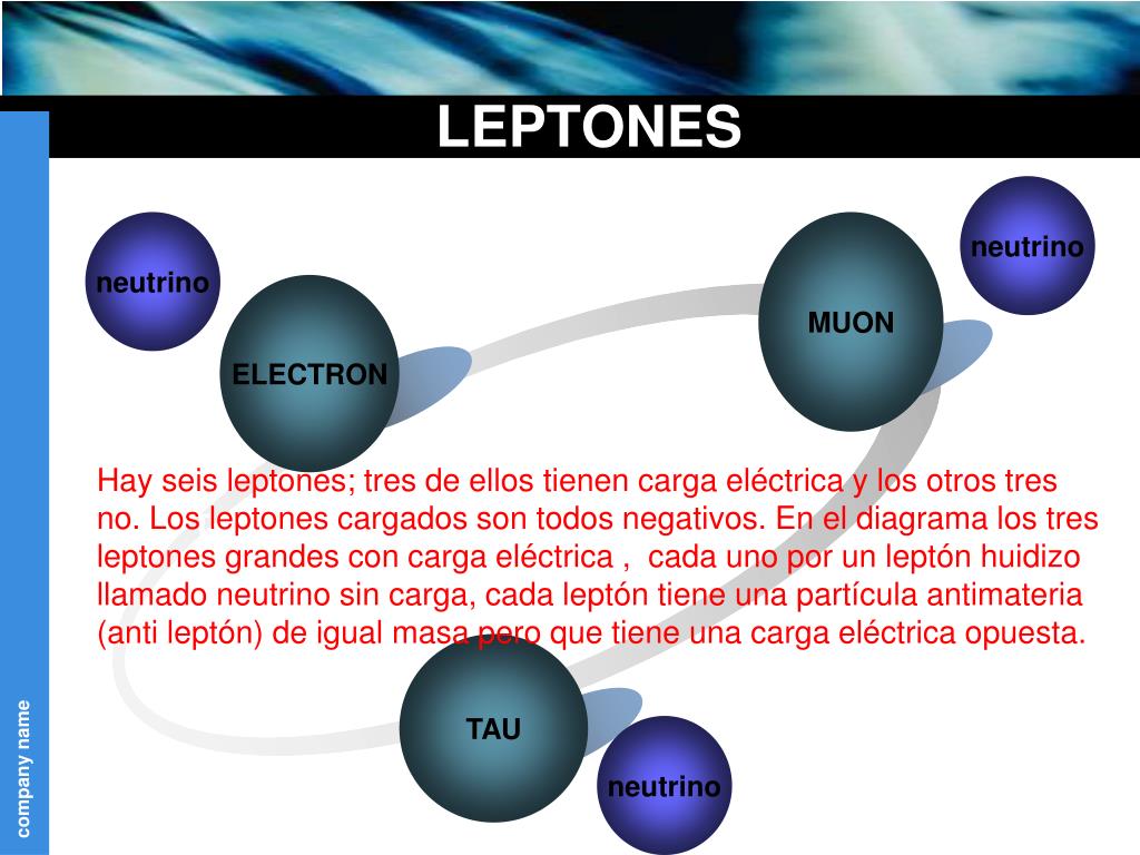 lepton definition lepton definition