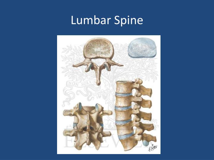 PPT - Spinal Injuries PowerPoint Presentation - ID:4990623