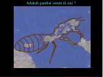 slide6