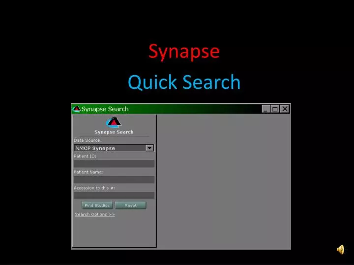 Ppt Synapse Quick Search Powerpoint Presentation Free Download