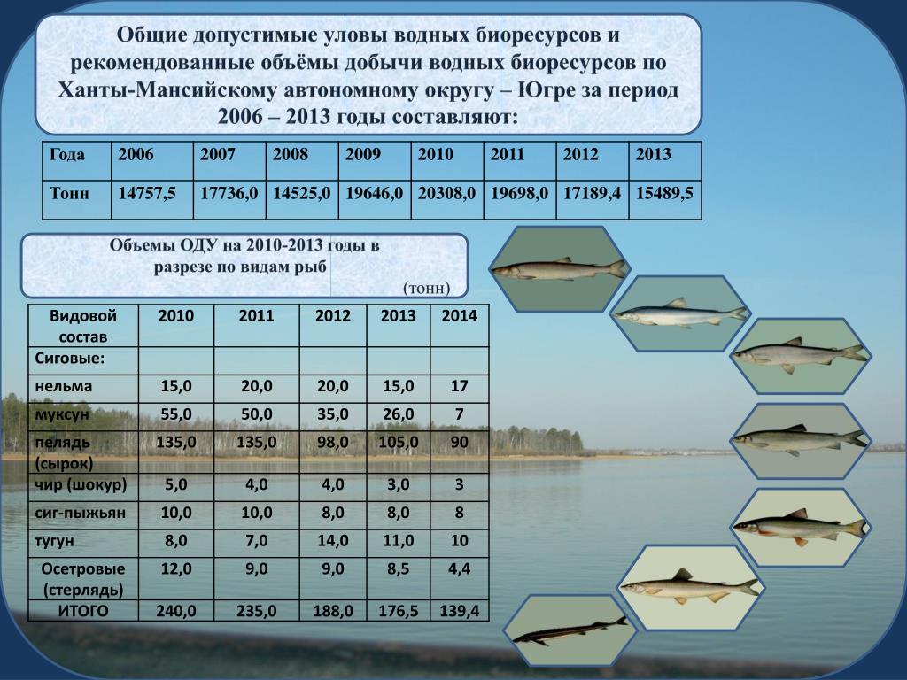 Управление водными биоресурсами