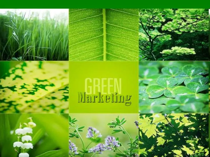 green marketing presentation ppt