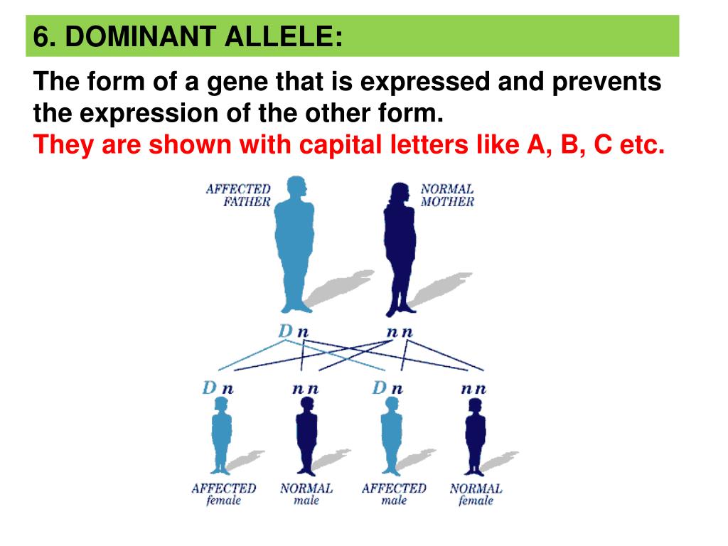 PPT GENETICS PowerPoint Presentation Free Download ID 4997151