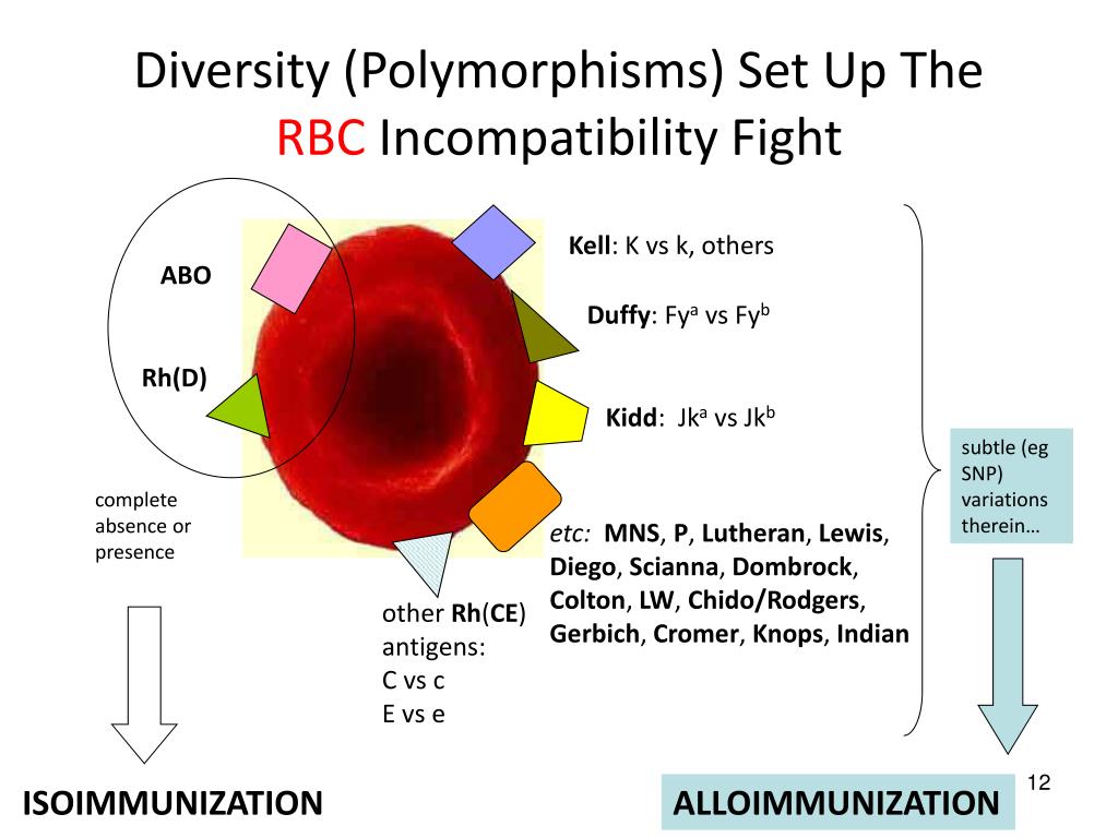 PPT - Christine Cserti-Gazdewich, MD FRCPC Assistant Professor ...