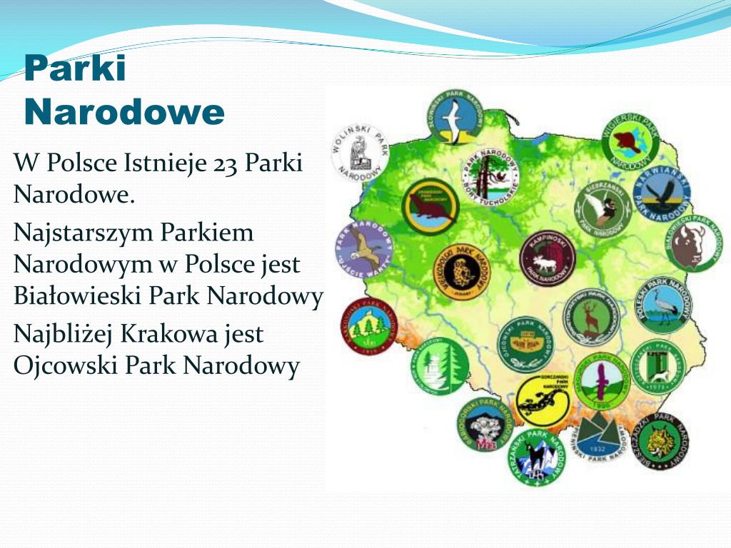 Okresl Ktore Formy Ochrony Obszarowej Moga Stanowic Strefe Otuliny PPT - Formy Ochrony Środowiska PowerPoint Presentation, free download
