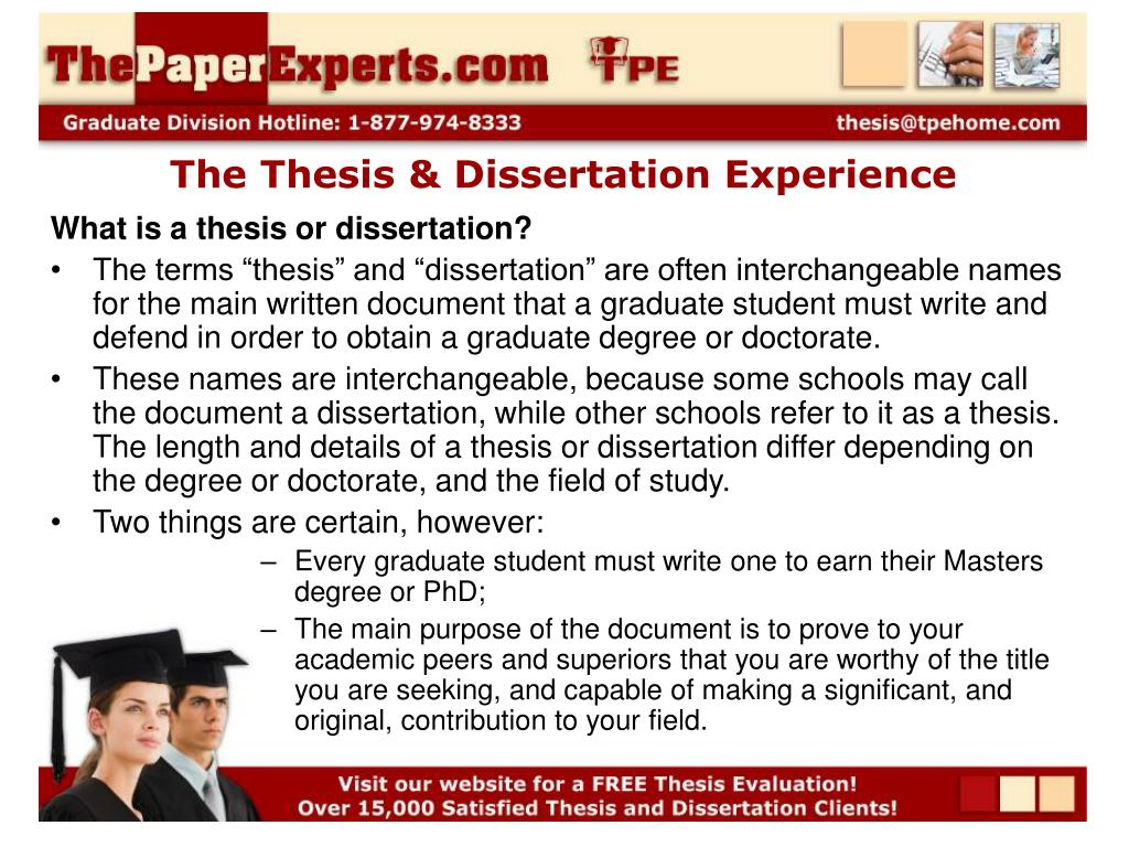 dissertation experience meaning
