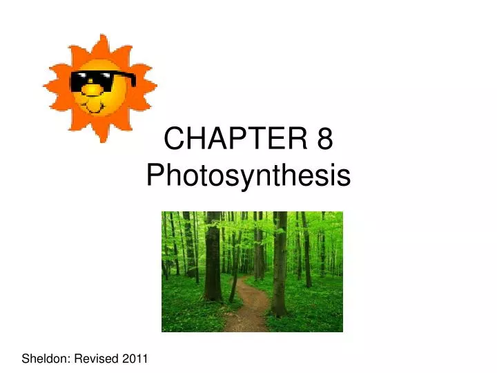 chapter 8 photosynthesis n.